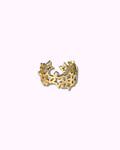 Constéllation Stars Cluster Ring
